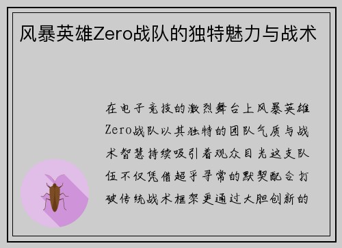 风暴英雄Zero战队的独特魅力与战术